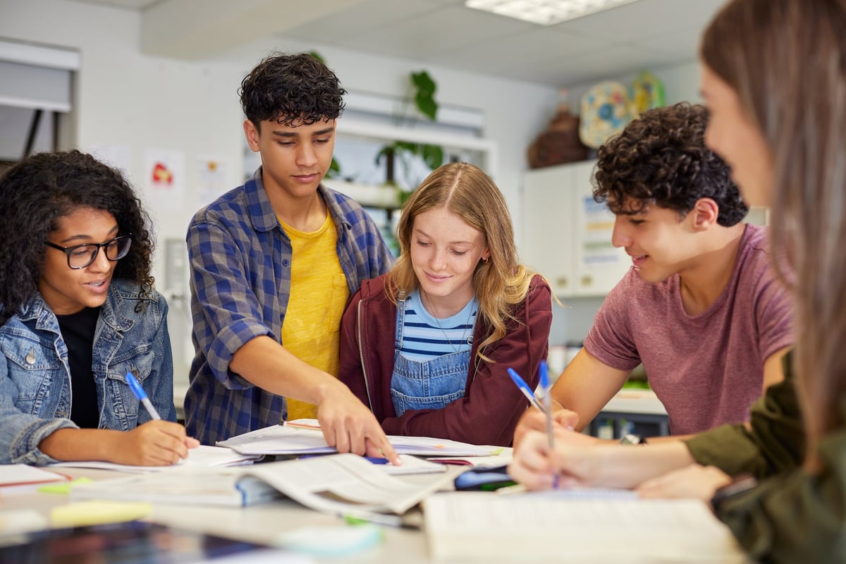 Onderwijs sector